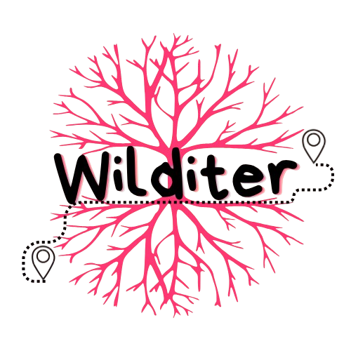Wilditer