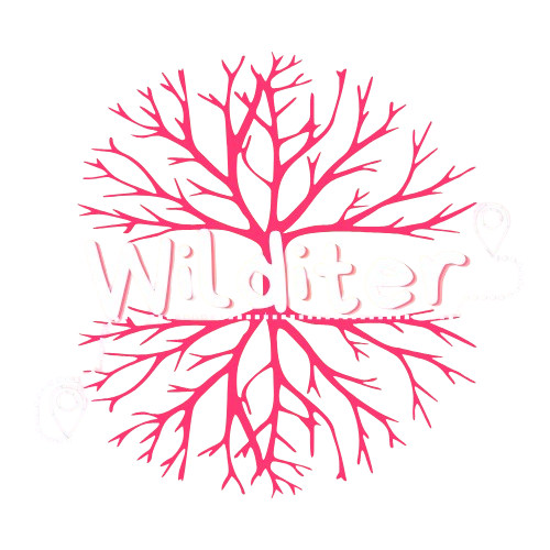 Wilditer